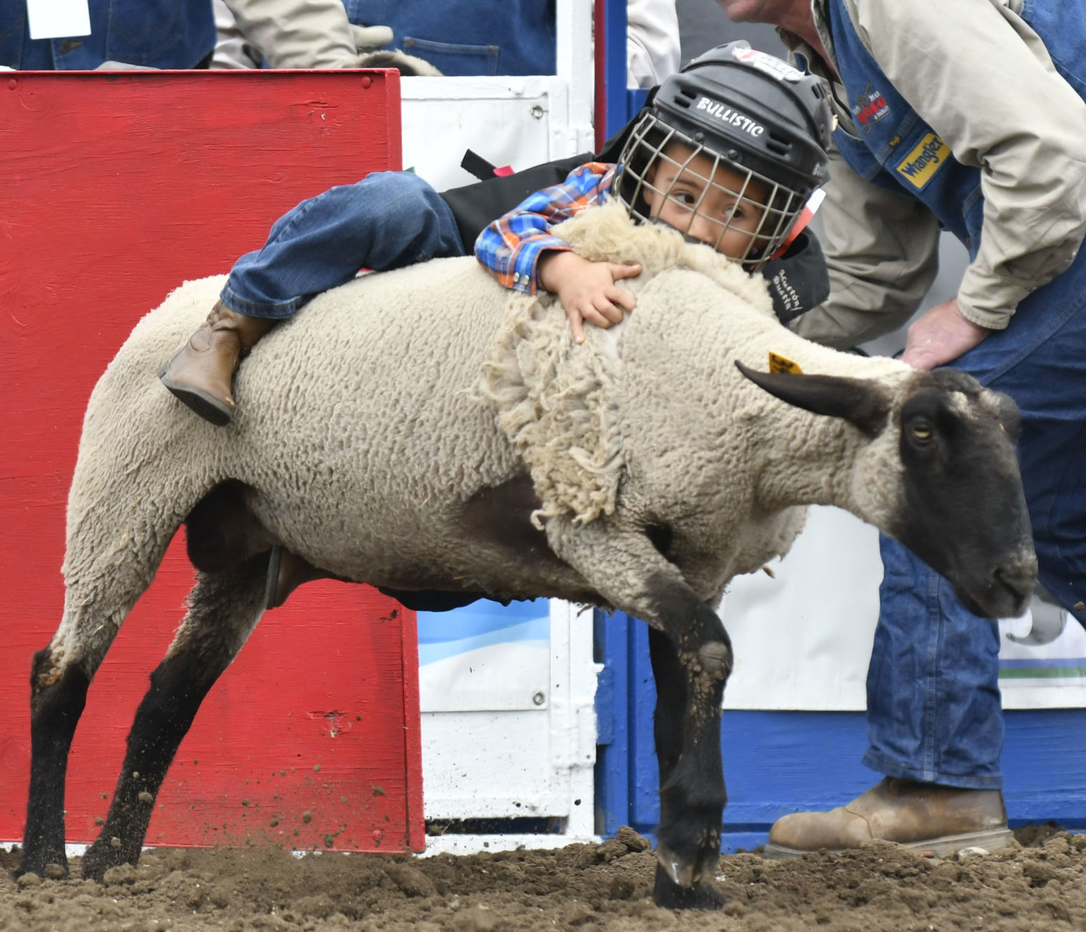 053019 Mini Rodeo news 24.jpg